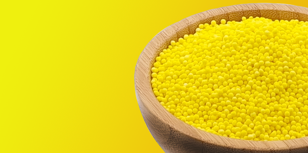 Yellow sago seeds 